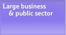 Large business & public sector